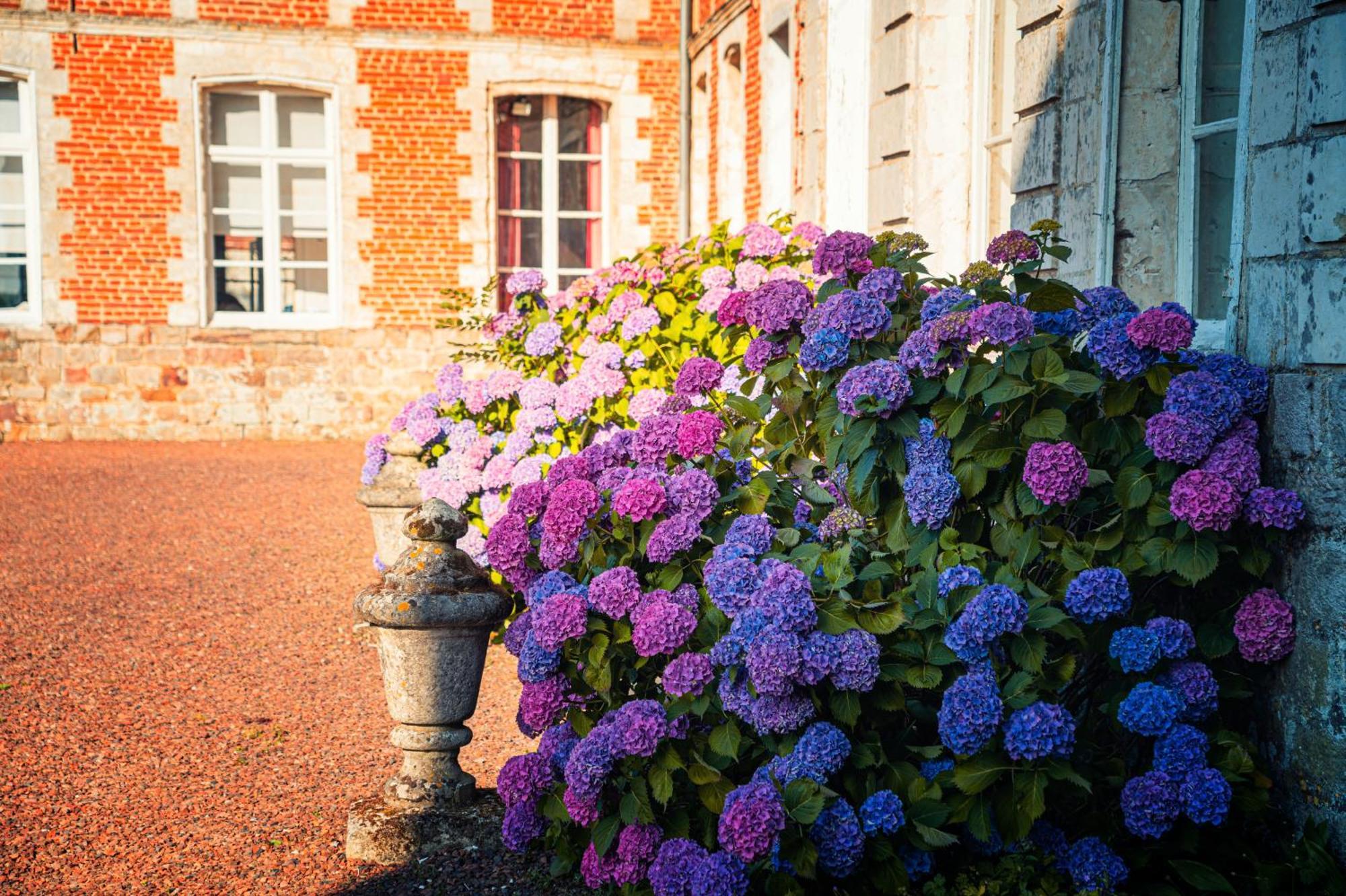 Chambres D'Hotes & Gites Du Chateau De Grand Rullecourt ภายนอก รูปภาพ