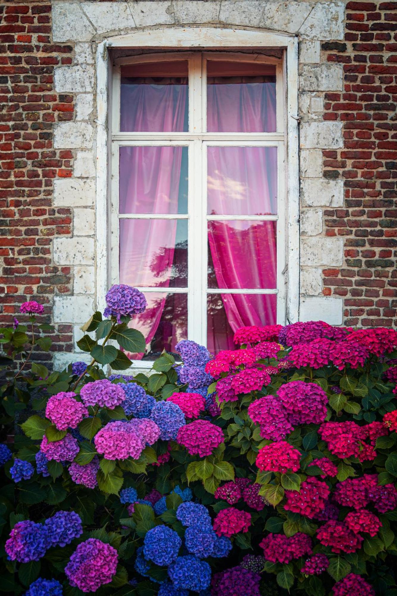 Chambres D'Hotes & Gites Du Chateau De Grand Rullecourt ภายนอก รูปภาพ
