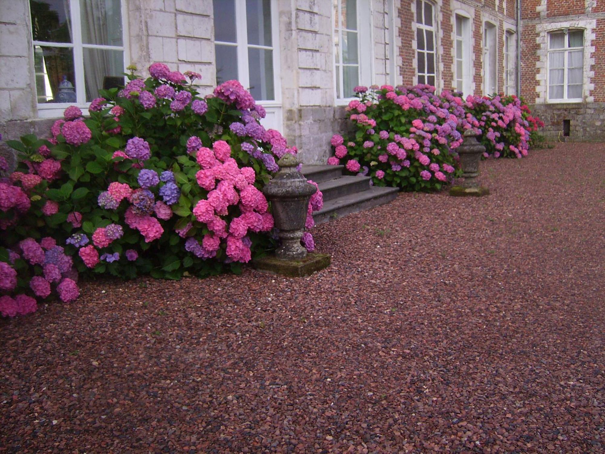 Chambres D'Hotes & Gites Du Chateau De Grand Rullecourt ภายนอก รูปภาพ