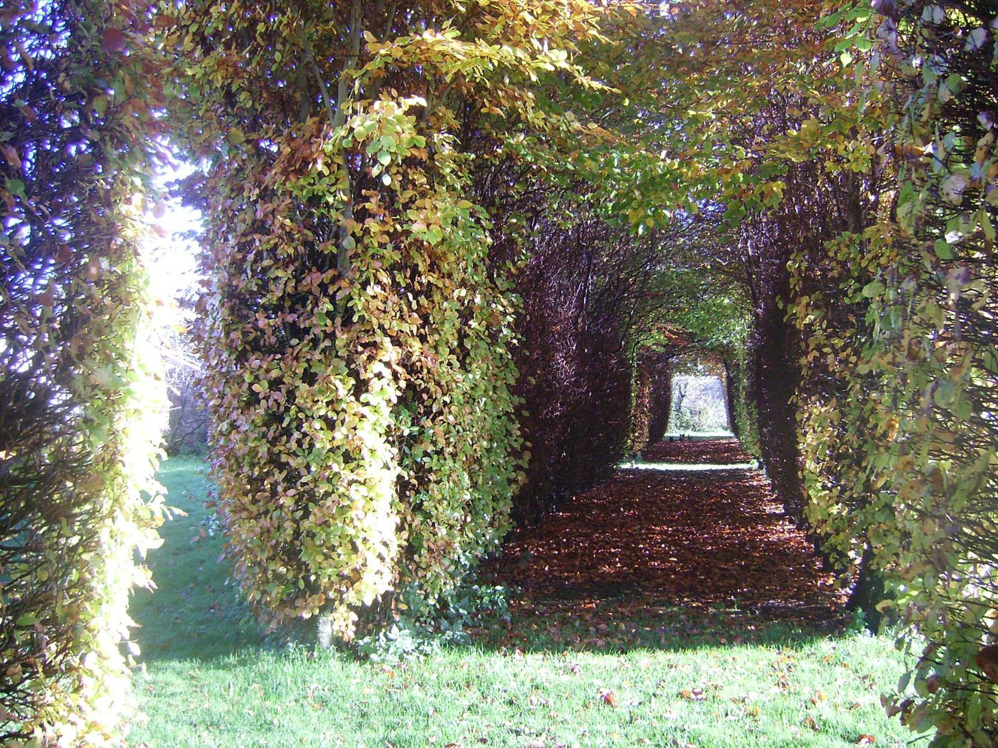 Chambres D'Hotes & Gites Du Chateau De Grand Rullecourt ภายนอก รูปภาพ